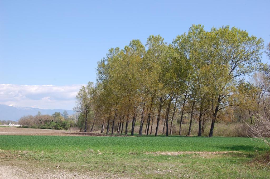Locanda La Candola Soligo Buitenkant foto