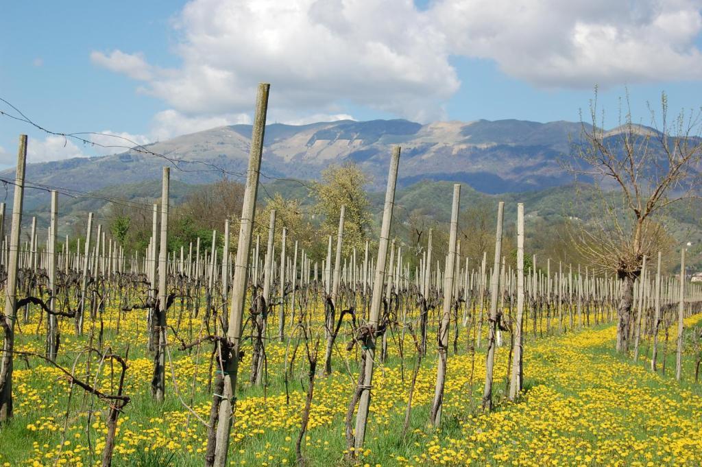 Locanda La Candola Soligo Buitenkant foto